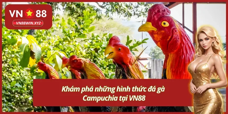 Những hình thức đá gà campuchia VN88