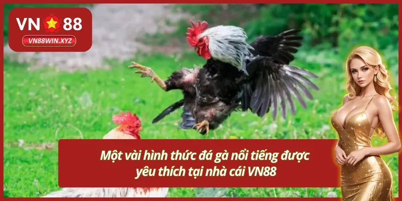 Top 3 hình thức đá gà nổi tiếng tại nhà cái VN88