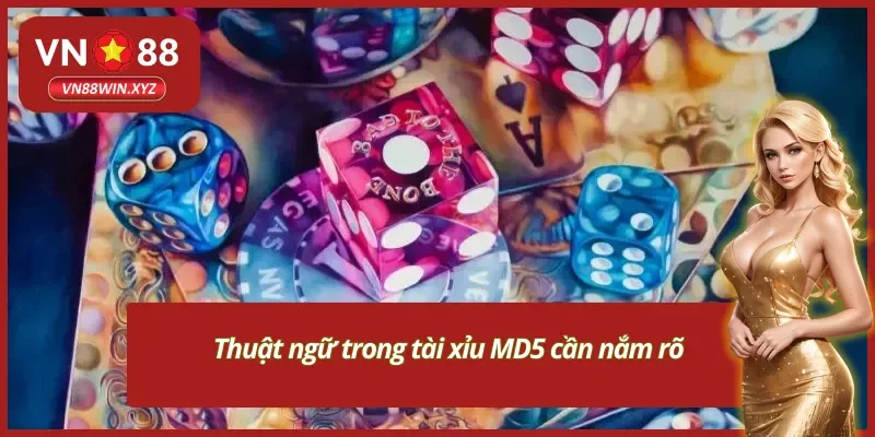 Những thuật ngữ trong tài xỉu MD5 cần học hỏi