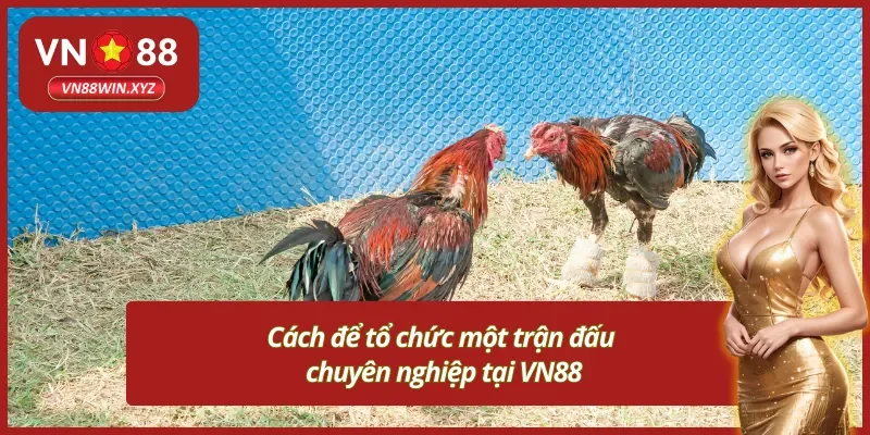 Việc tổ chức trận đấu chuyên nghiệp tại VN88